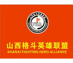 山西格斗英雄联盟
